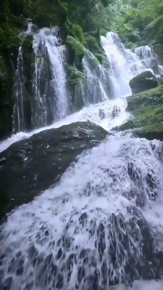 沪江开心词场
